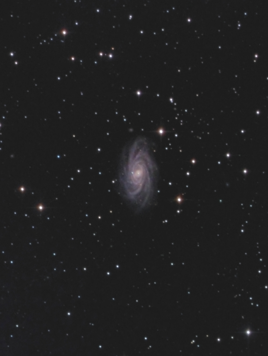 NGC2336_50%