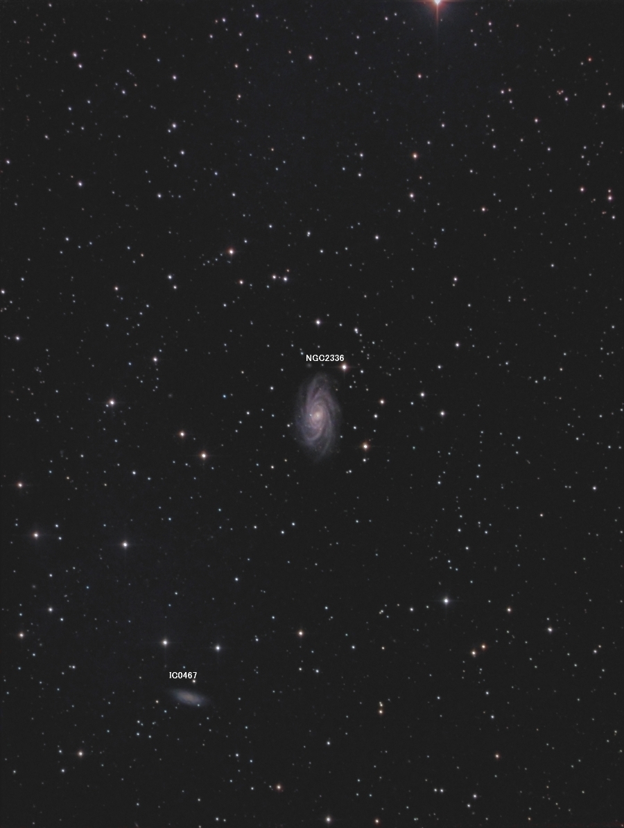 NGC2336_name