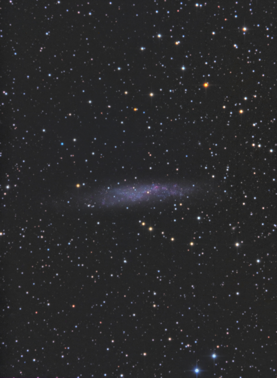 NGC3109