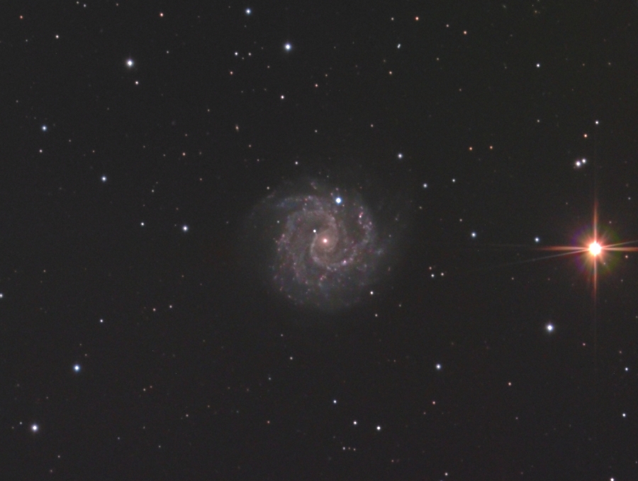 NGC3184 2010/02/06 [宇宙(そら)のキャンバス]