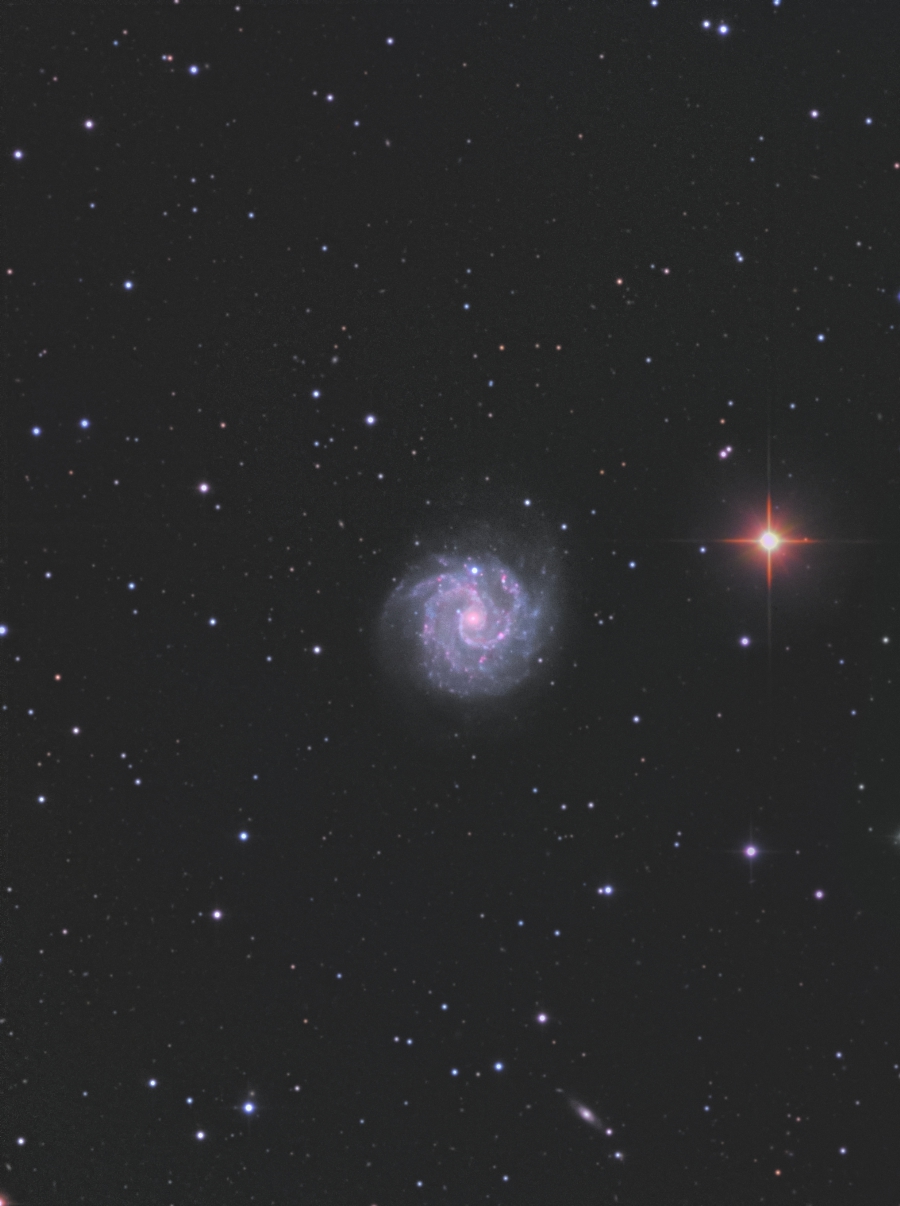 NGC3184 2015/01/23 [宇宙(そら)のキャンバス]