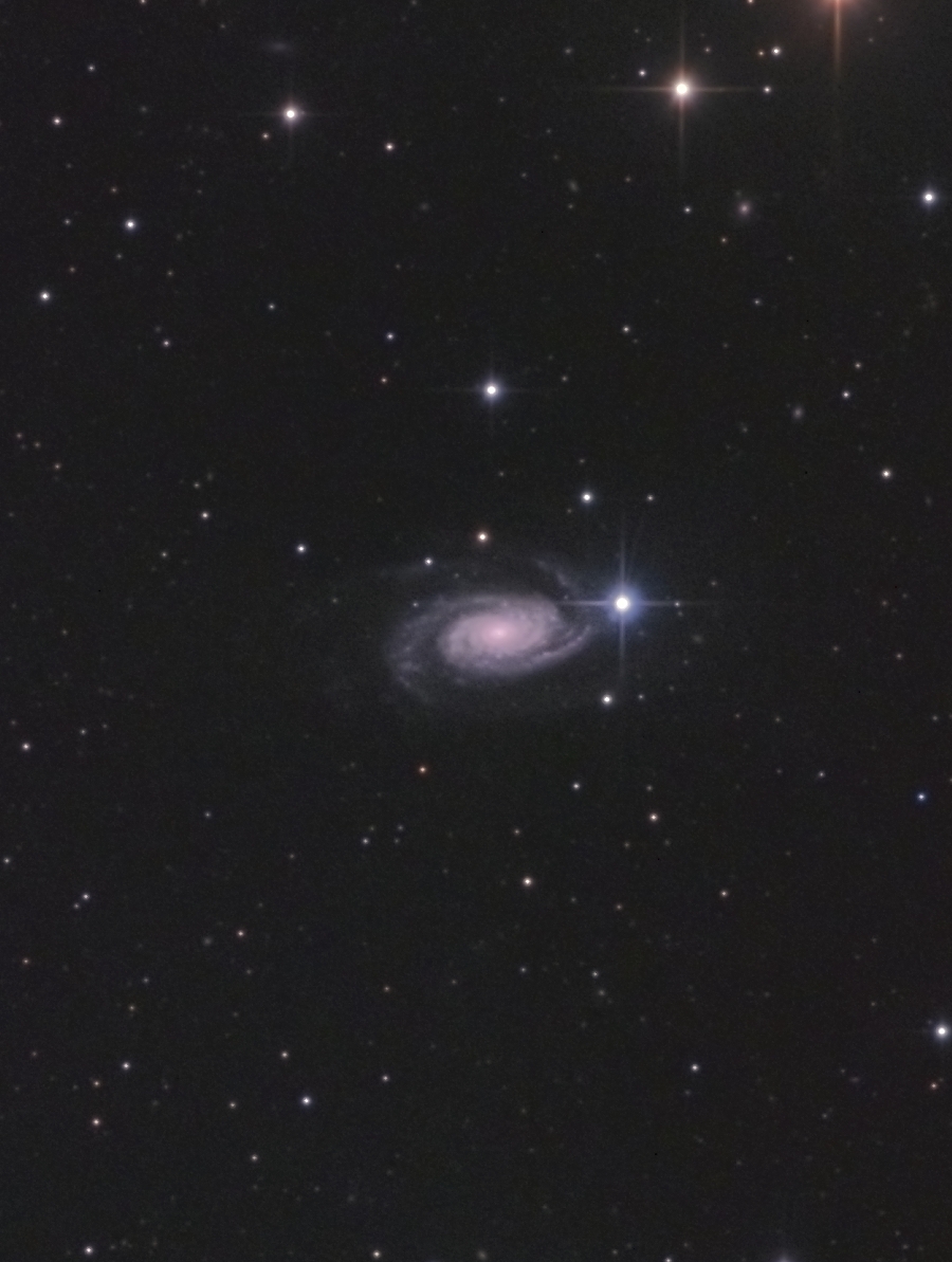 NGC3338_50%