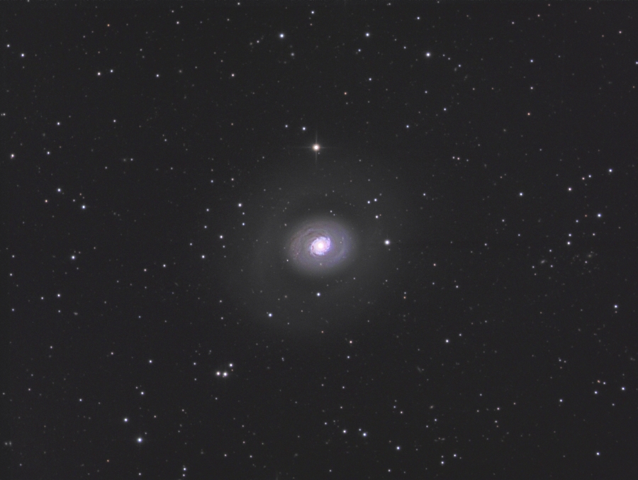 M94 (NGC4736)_100%