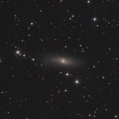 NGC1023