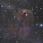 NGC1555付近