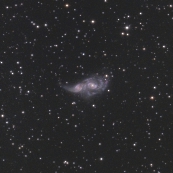 NGC2207&IC2163