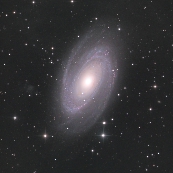 NGC3031(M81)