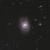 NGC3351(M95)