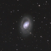 NGC3368(M96)