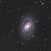 NGC3368(M96)
