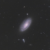 NGC4501(M88)