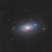 NGC5055(M63)