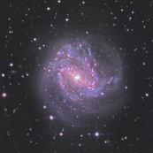 NGC5236(M83)