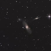 NGC5566 他