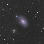 NGC5585
