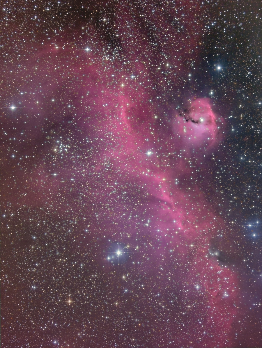 IC2177 かもめ星雲