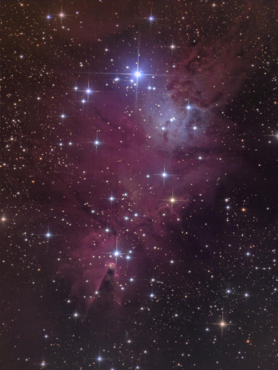 NGC2264_100%