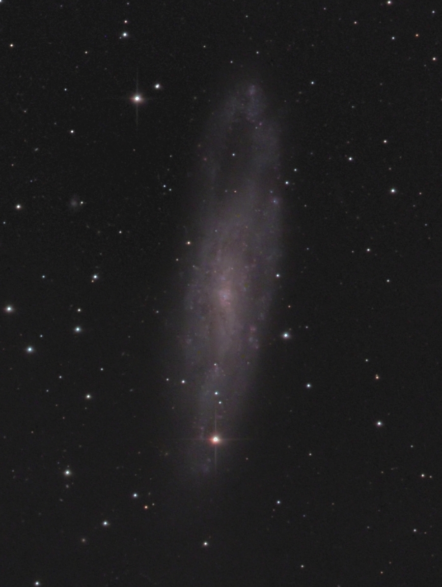 NGC247_50%
