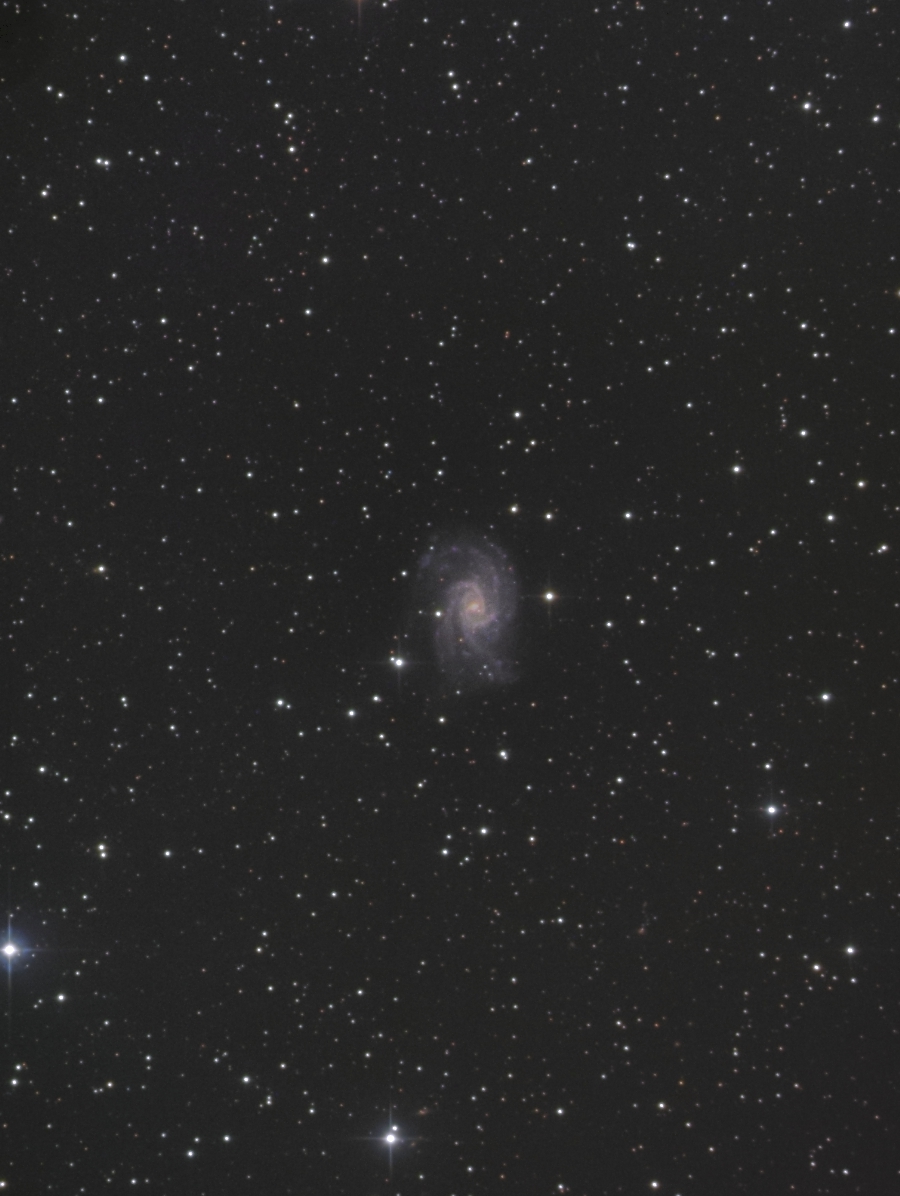 NGC2835