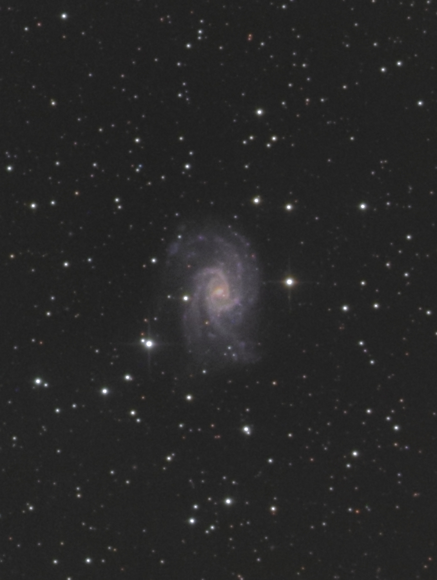 NGC2835