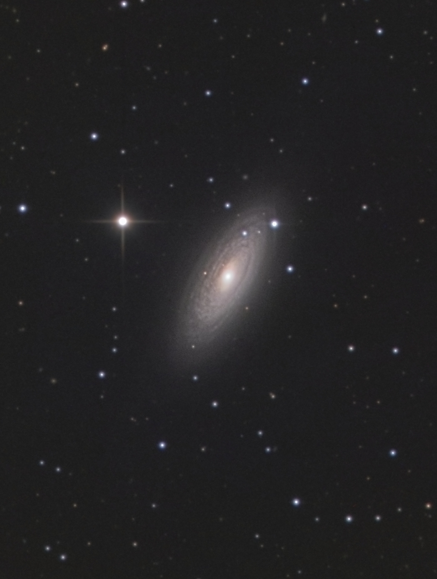 NGC2841