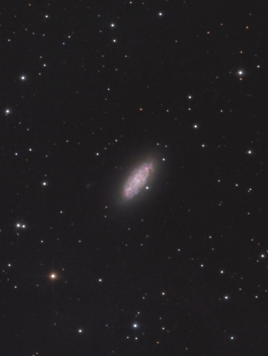NGC2976_50%