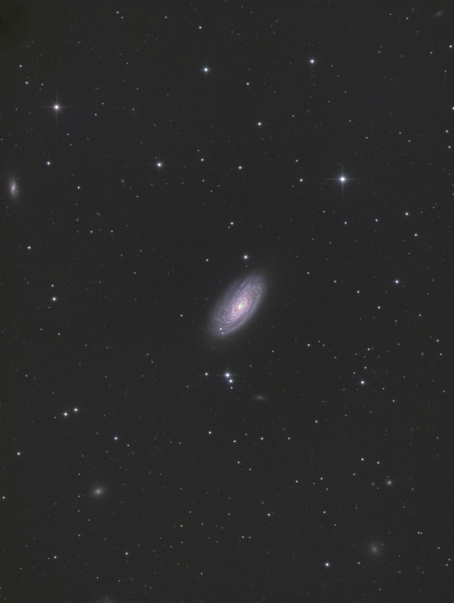 NGC4501