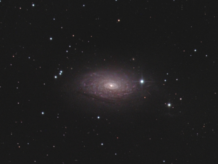 NGC5055