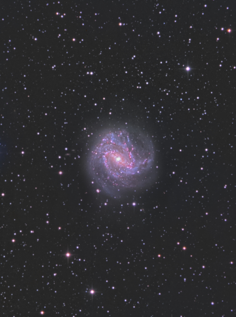 NGC5236_M83