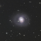 NGC1068(M77)