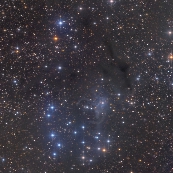 NGC225
