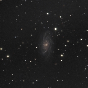 NGC2336
