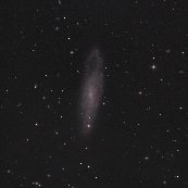 NGC247