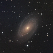 NGC3031(M81)