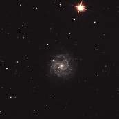 NGC3184