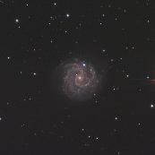 NGC3184