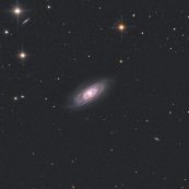 NGC3705