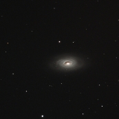 NGC4826(M64)