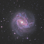 NGC5236(M83)