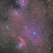 NGC6559付近